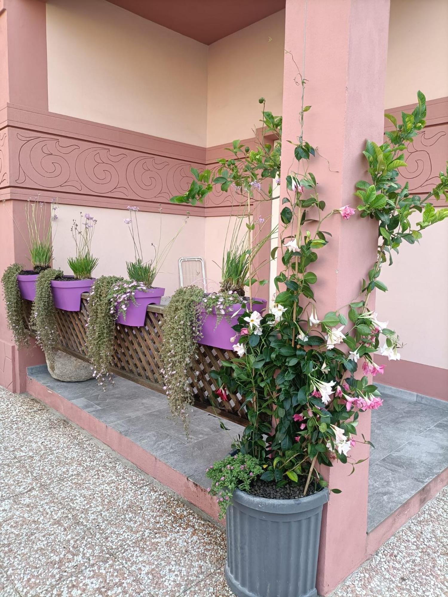 Maison Belle Époque&suites Oristano Extérieur photo